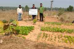 Bandhan Climate Action Programme