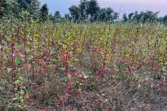 9d5ed81a-b2bb-4128-9685-49c3408b6524