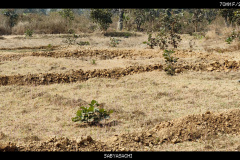 IMG_20260223_095027502