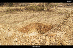 IMG_20260223_095043394-1