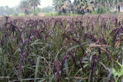 WhatsApp-Image-2026-03-06-at-11.42.13